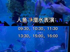 -左海海底世界