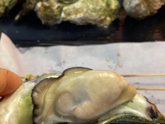 -开蚝屋