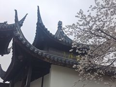 -苏州上方山国家森林公园