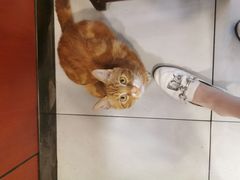 -河州春清真西北特色美食(虎踞路店)