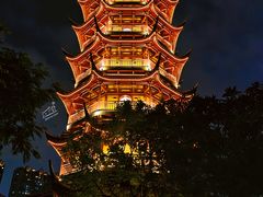 -红梅公园