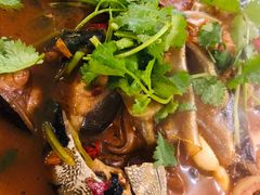 鲶鱼粉皮-好妹酸菜鱼馆(龙江店)