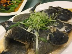 -美心皇宫(绿杨坊店)