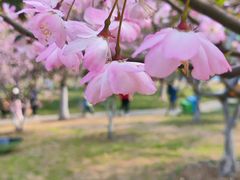 -西北湖绿化广场