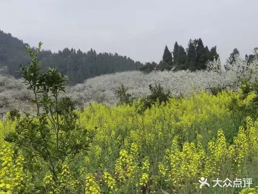这里最好自驾，坐车不方便，属于郊区旅游景点