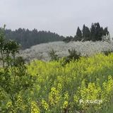 这里最好自驾，坐车不方便，属于郊区旅游景点