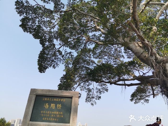 洛阳桥图片