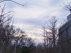 -黄村公园