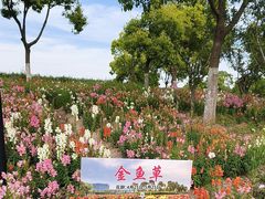 -春花秋色城市公园