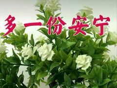 -黄寺蒸汽海鲜(黄寺大街店)
