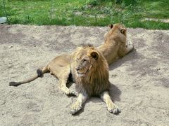 -北京野生动物园