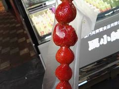 -狐尾山公园