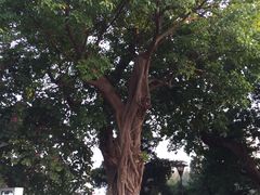 -龙环葡韵住宅式博物馆