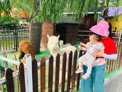 -朝阳公园游乐园