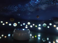 -中国西峡恐龙遗迹园