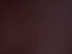 -太熟悉辣椒炒肉(南辛庄店)