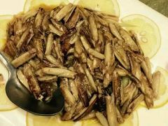 -新花城蟹粉馆(乌鲁木齐店)