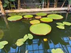 -国家植物园南园