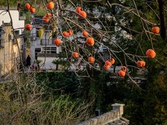-塔川景区