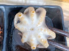 小章鱼-丽江庭院之爱在路上(西单店)