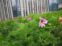 -瓦库茶馆17号(海汇港店)