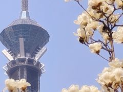 -裕华世纪公园