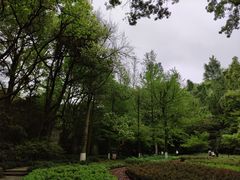 -灵隐飞来峰景区