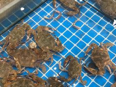 -木柴豆腐·活海鲜·鲁菜(岚山路店)