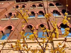 -浙江大学(海宁国际校区)