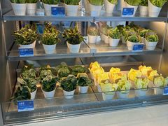 -海底捞大排档火锅(打浦路店)