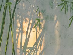 -杭州黄龙洞