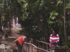 -名树园