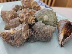 -北戴河庆山饭店·海鲜砂锅粥(北戴河黑石路店)