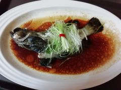 -麒麟中餐厅·经典粤菜·地道菜式老字号(广州长隆酒店)