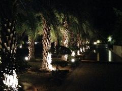android_upload_pic-三亚海棠湾万丽度假酒店
