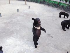 -西安秦岭野生动物园