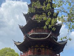 -龙华素斋(龙华路店)