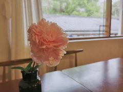 -竹子咖啡bamboo coffee