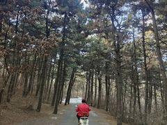 -棋盘山风景区