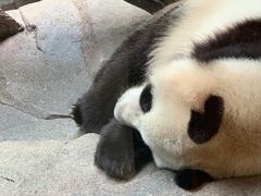 -宁波野生动物园