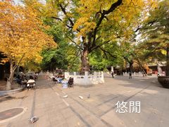 -潭柘寺景区