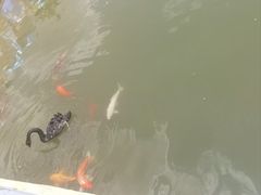 -鄂尔多斯野生动物园