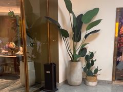 -长藤鬼校(龙翔店)