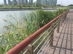 -江滩湿地公园