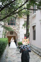 -花轿喜屋婚礼策划