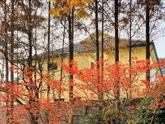-T80科技文化国际社区-停车场