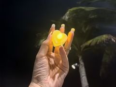 -海角轩·三亚文华东方酒店