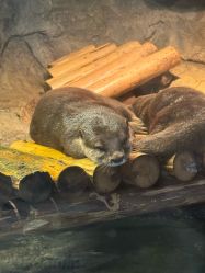 -Zoolung Zoolung动物主题公园(海信广场店)