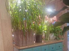 -春暖花开(西溪店)