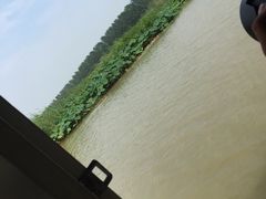 -微山湖红荷湿地景区